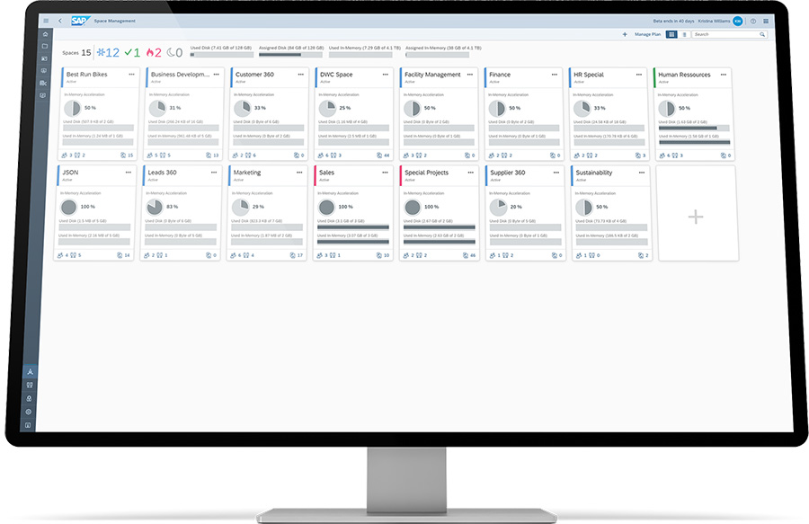 Screenshot of SAP Datasphere space management report